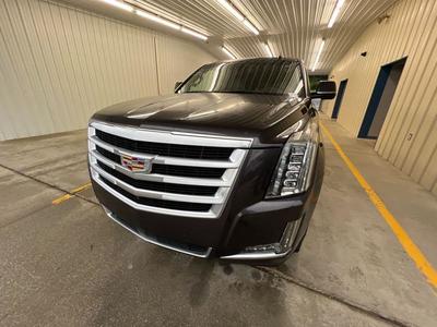 2015 Cadillac Escalade