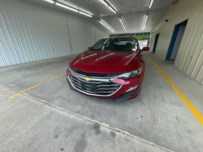 2019 Chevrolet Malibu