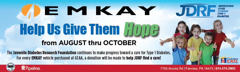 Lake Erie Auto Credit >> Greater Erie Auto Auction Lake Erie Auto Credit >> Greater Erie Auto Auction