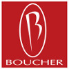 Boucher Automotive Group logo