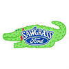 Sawgrass Ford logo