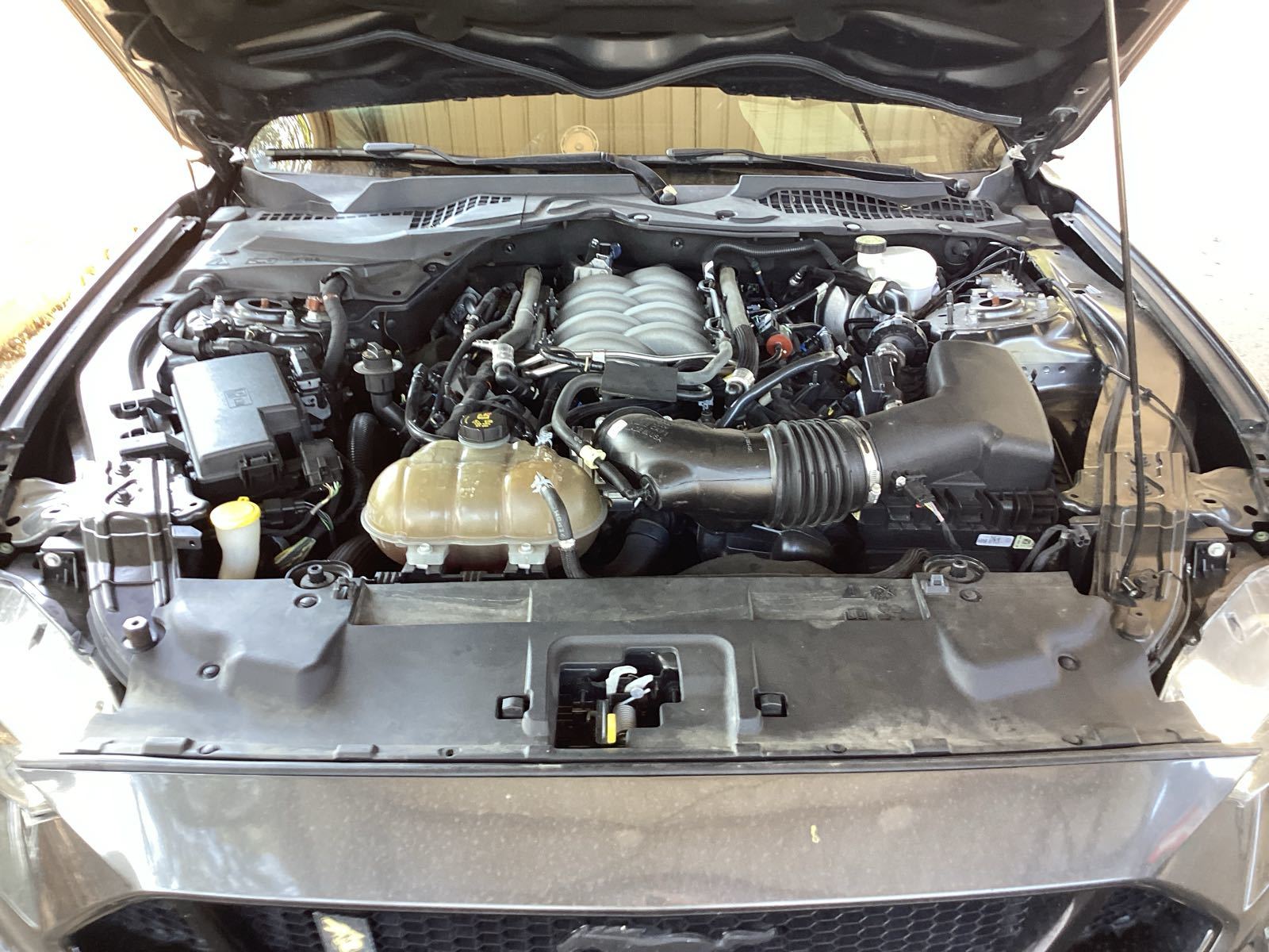 2019 Ford Mustang  GT Premium RWD