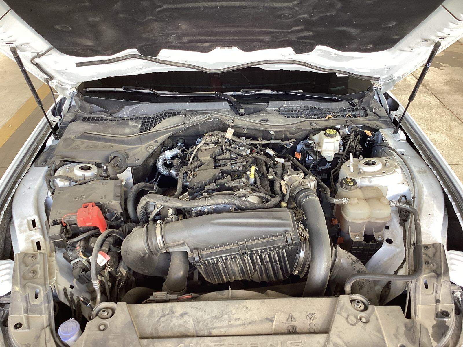 2024 Ford Mustang   RWD