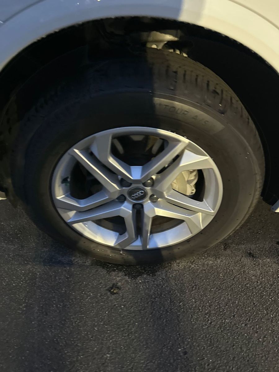 2019 Audi Q5  Premium AWD