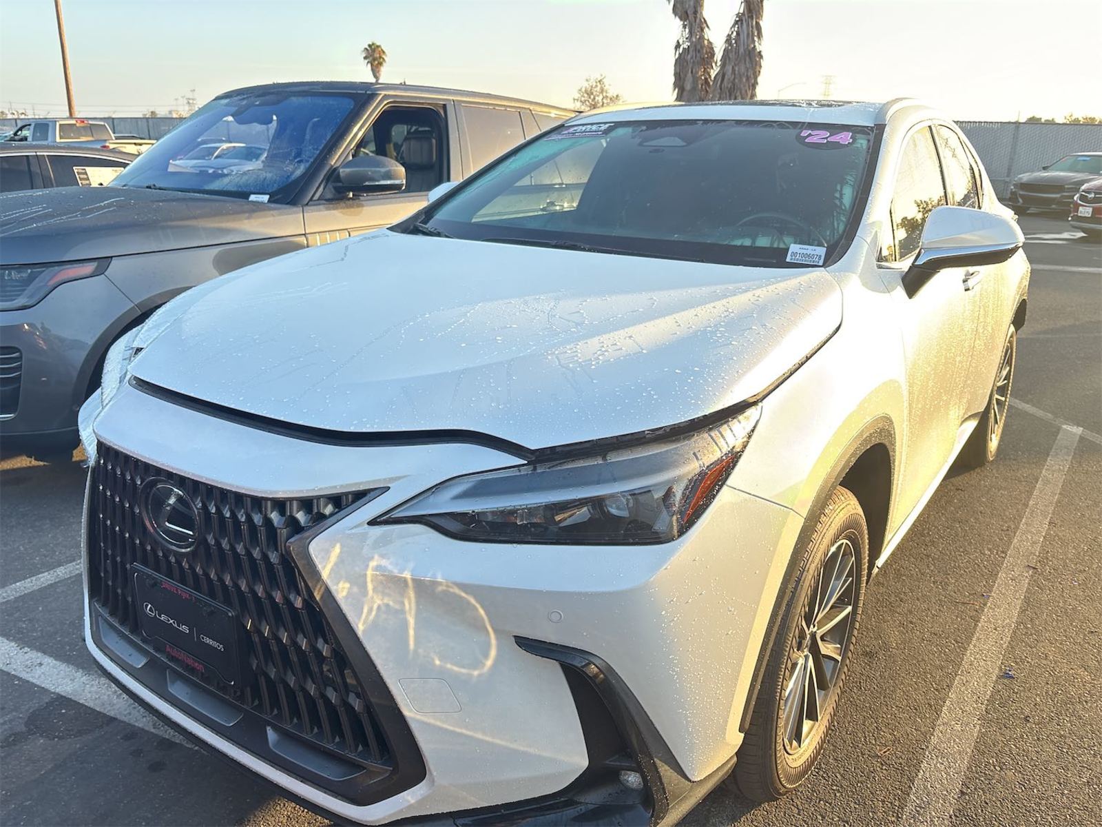 2024 Lexus NX  AWD