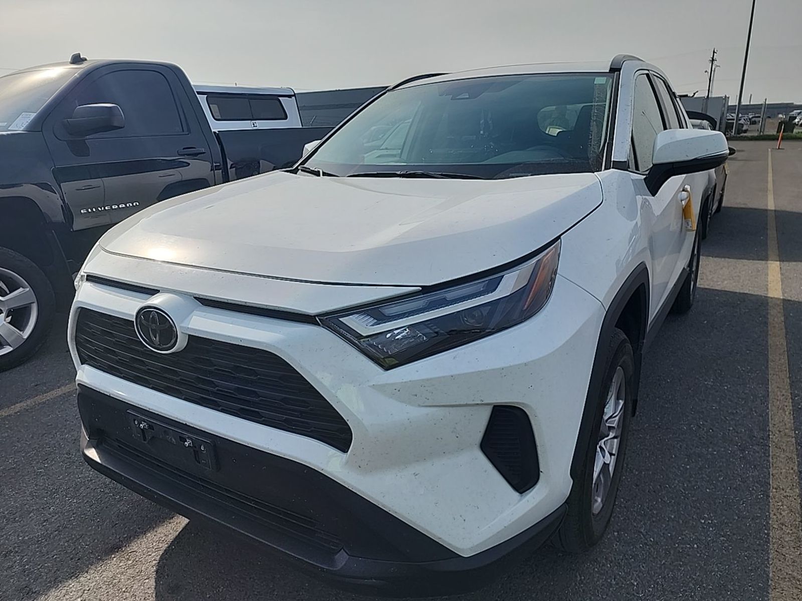 2025 Toyota RAV4  XLE AWD