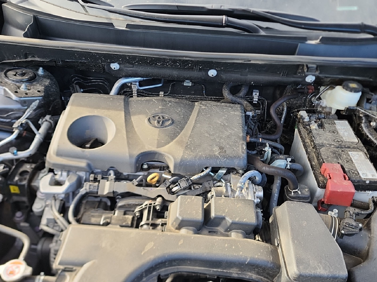 2025 Toyota RAV4  LE AWD