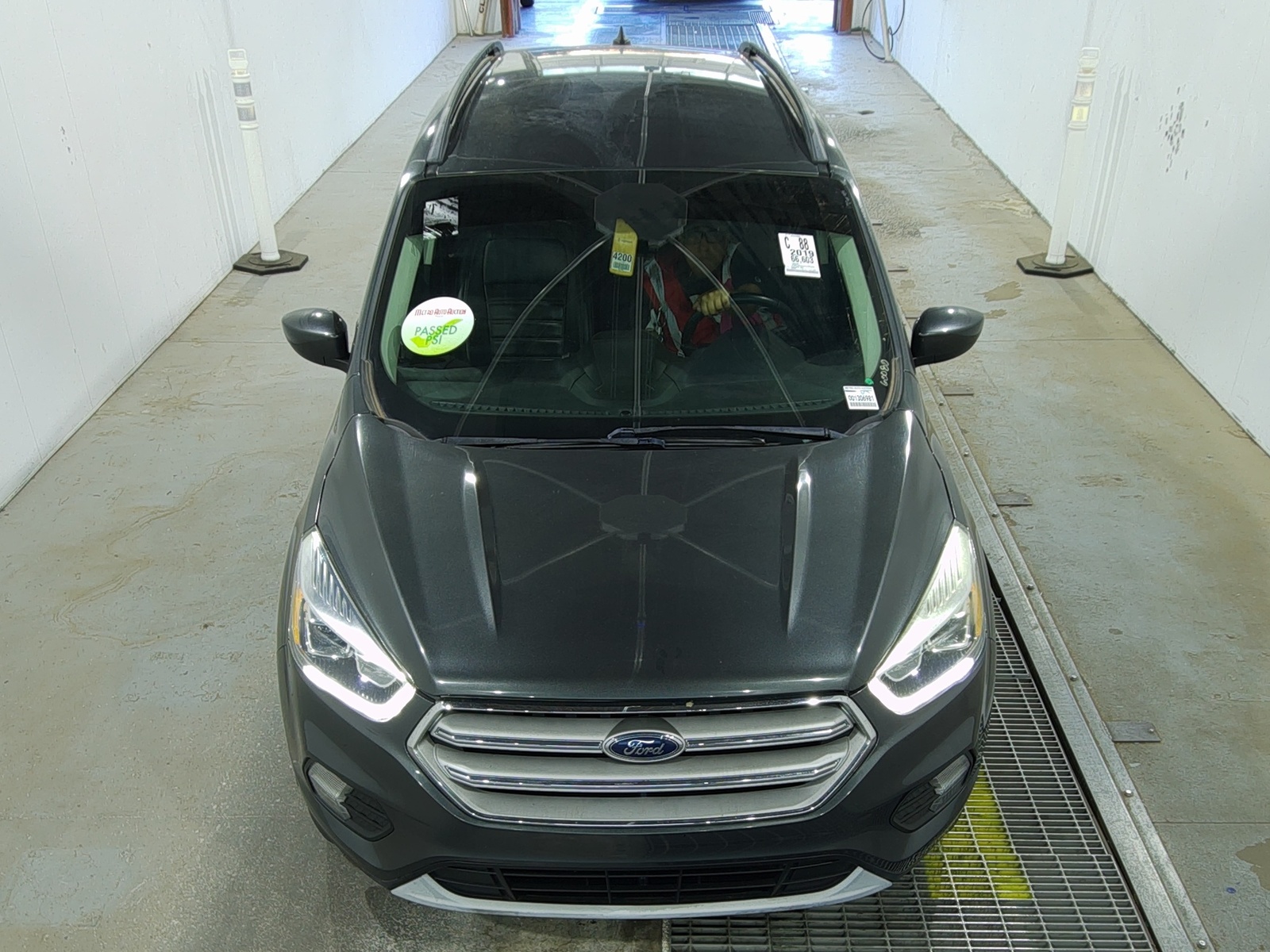 2019 Ford Escape  SEL FWD