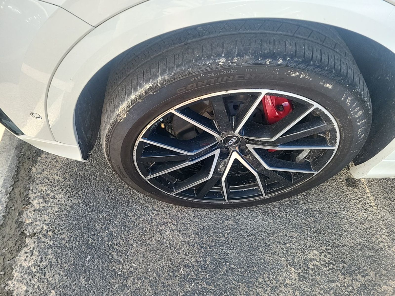 2019 Audi Q8  Premium Plus AWD