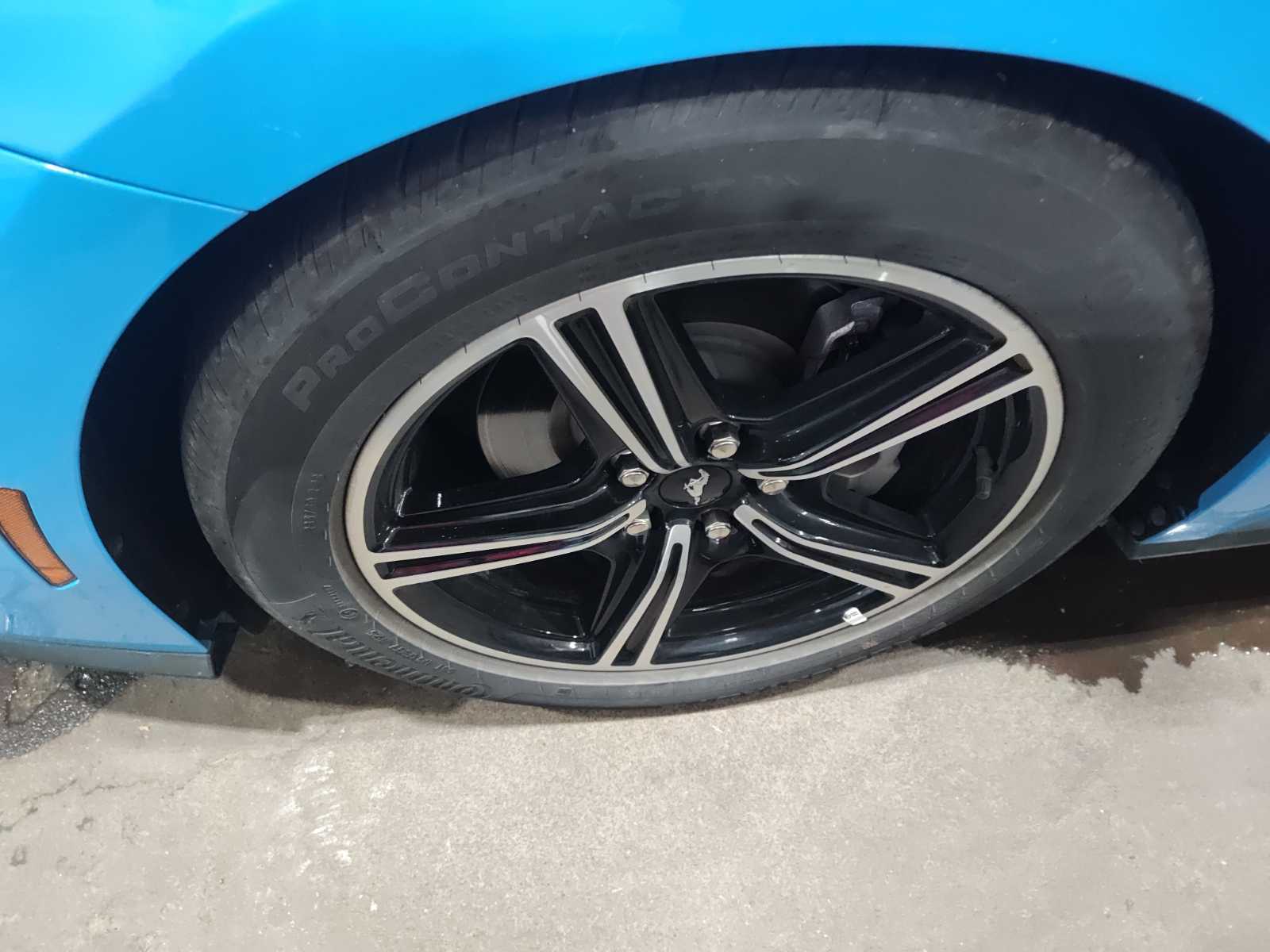 2025 Ford Mustang   RWD
