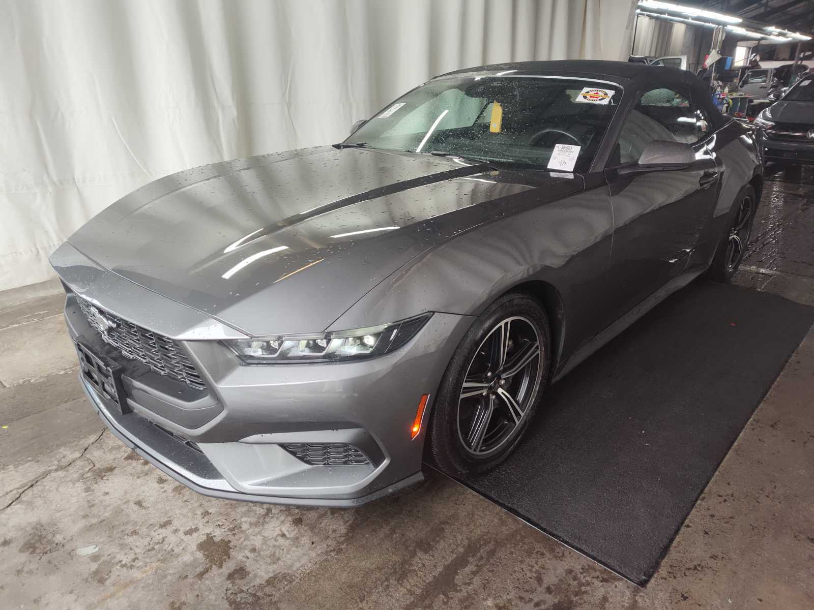 2025 Ford Mustang   RWD