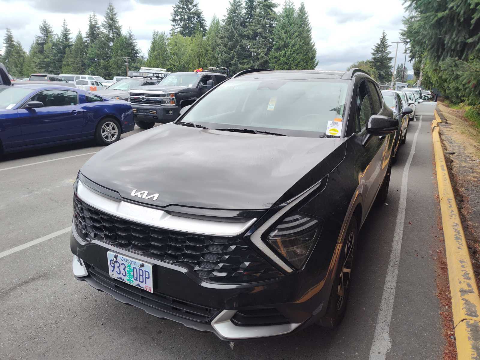 2024 Kia Sportage   AWD