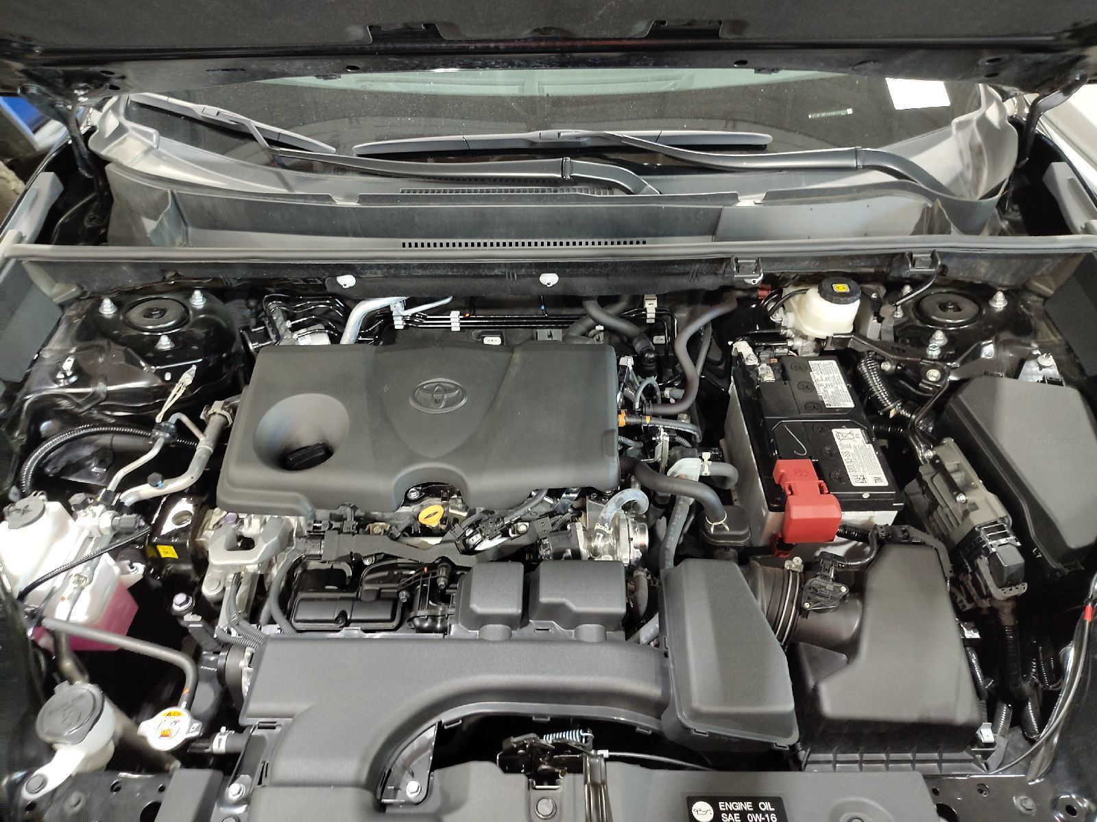 2025 Toyota RAV4  LE AWD