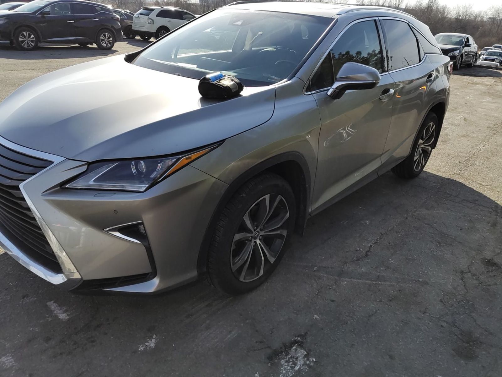 2019 Lexus RX   AWD