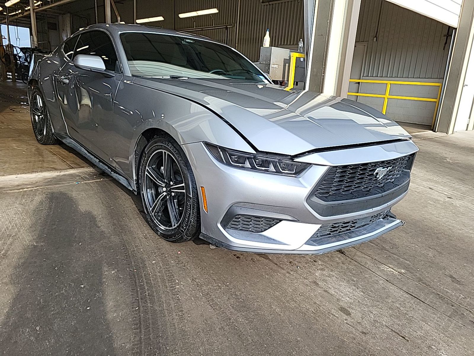 2025 Ford Mustang   RWD
