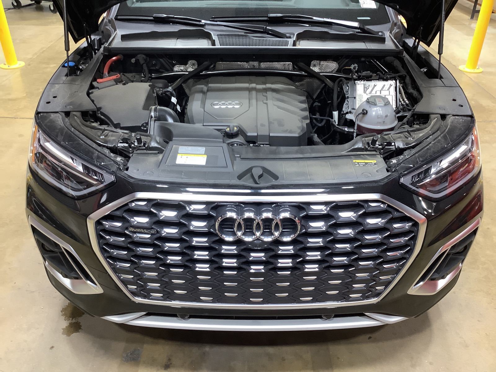 2025 Audi Q5   AWD
