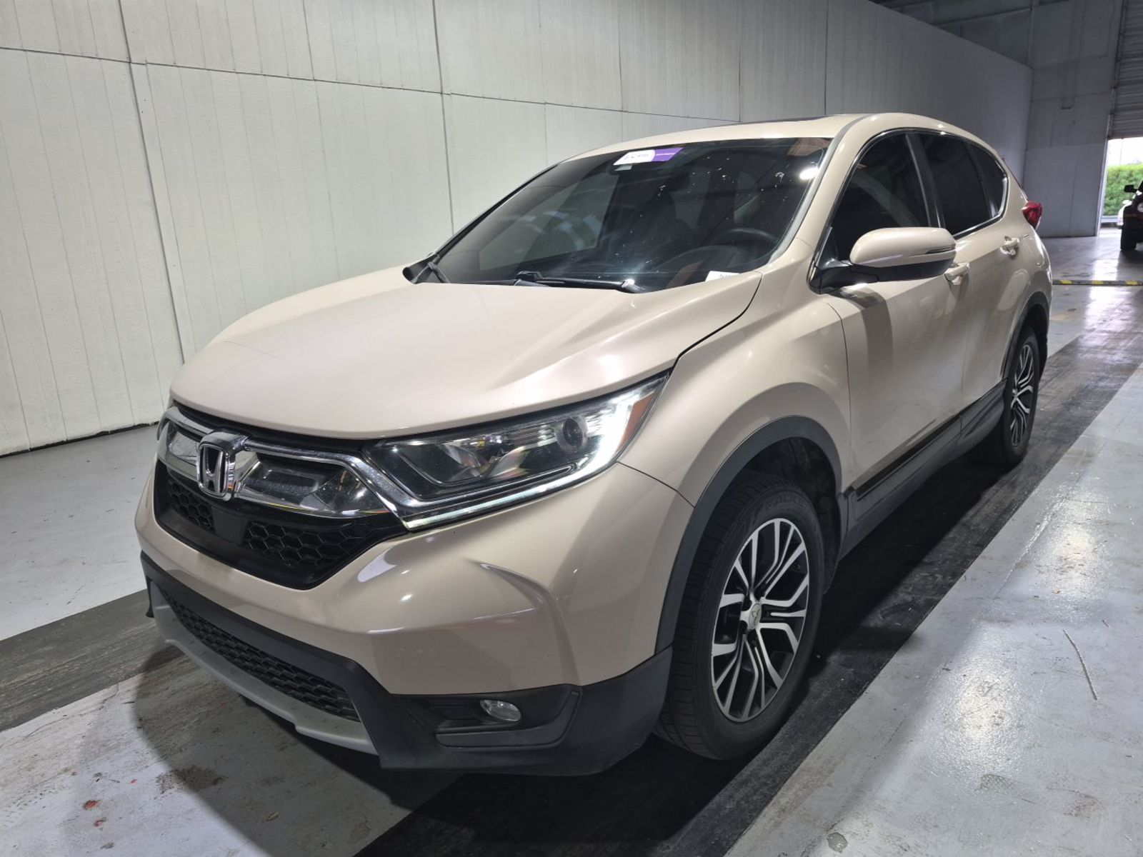2019 Honda CR-V  EX AWD