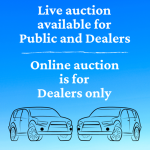 Auction - Auction
