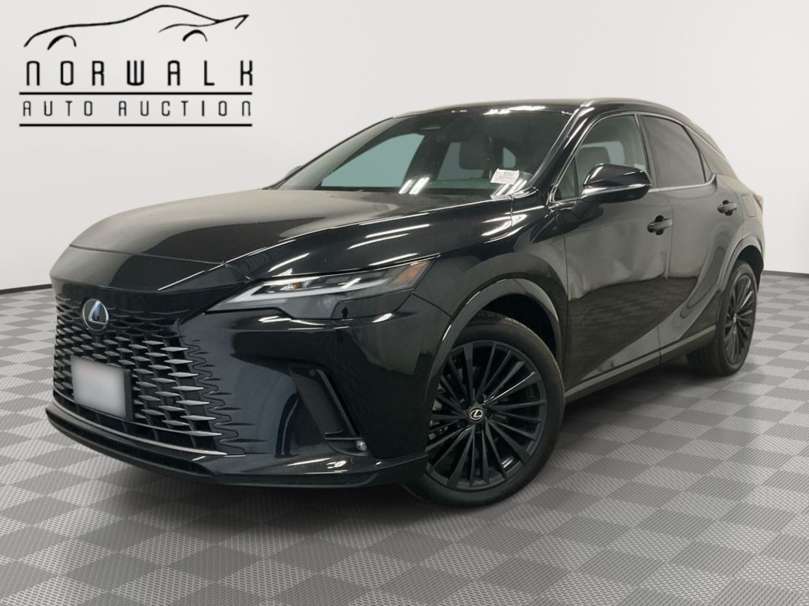 2025 Lexus RX  AWD