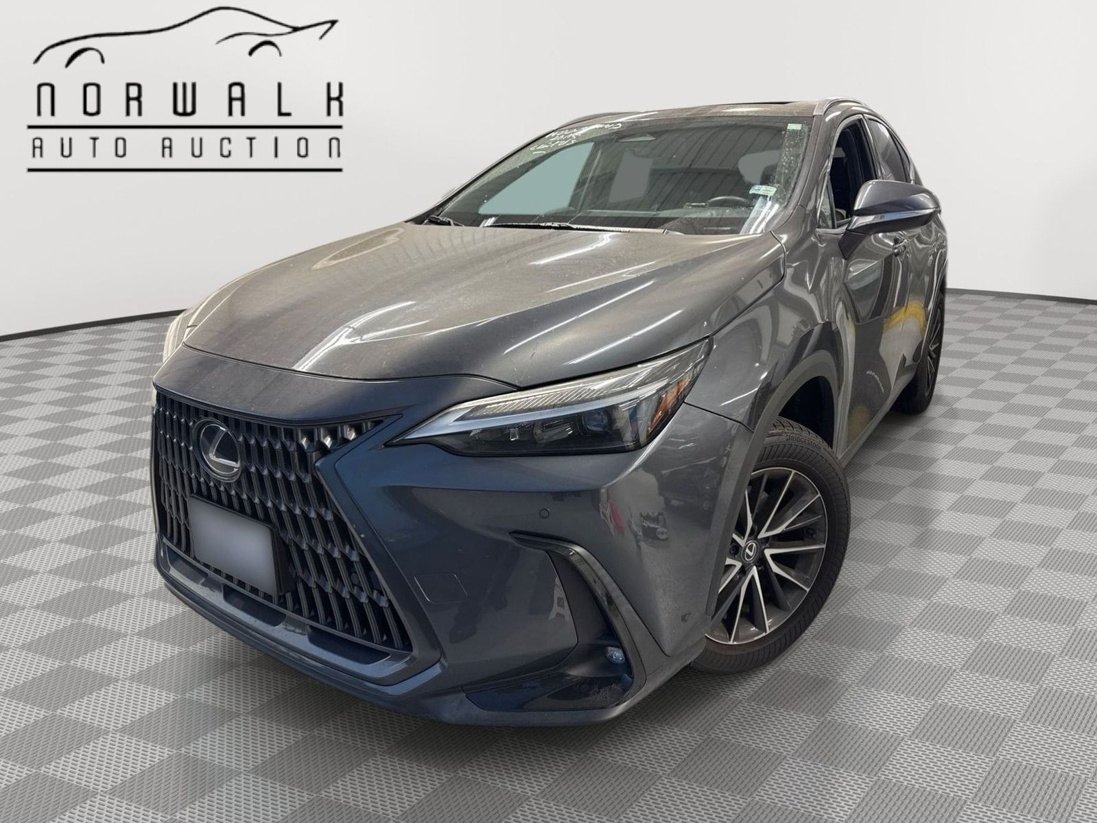 2024 Lexus NX  AWD