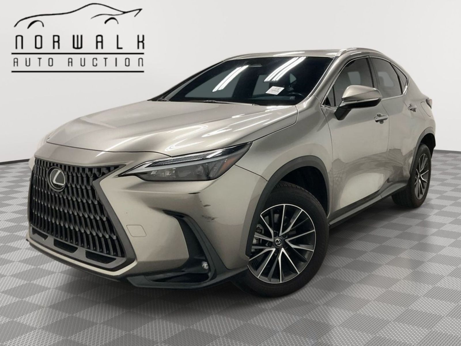2024 Lexus NX  AWD