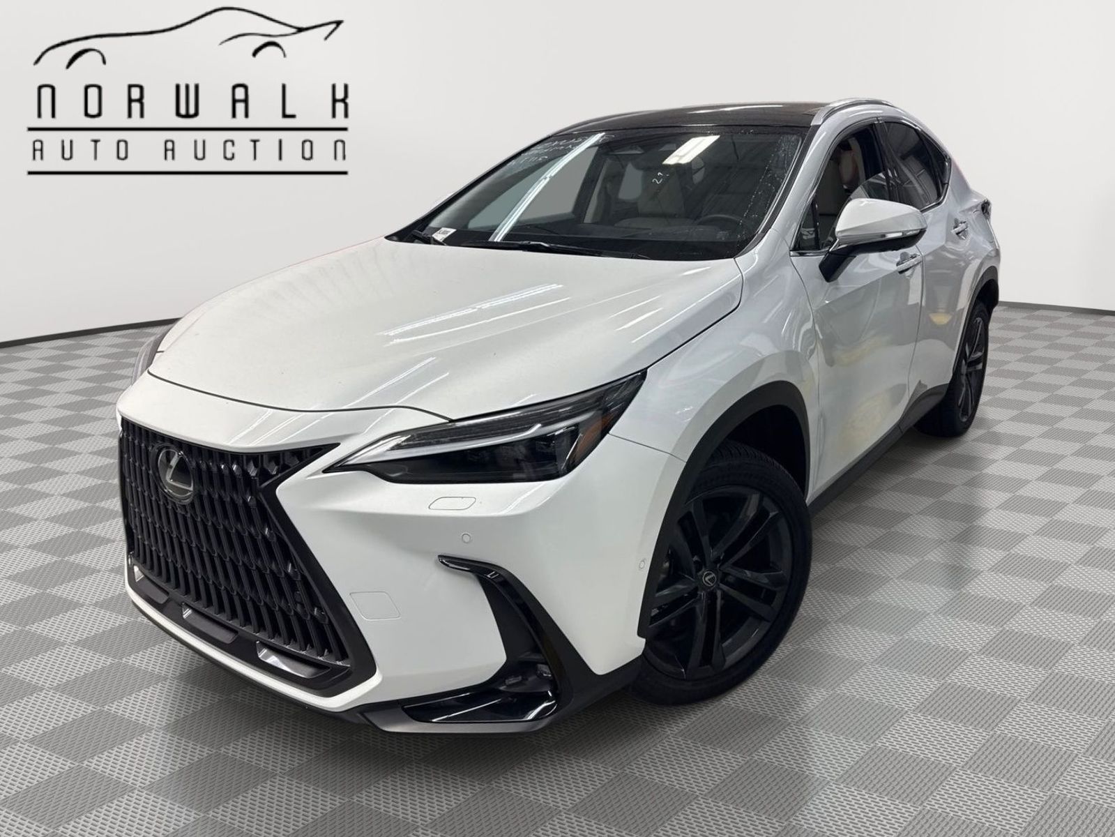 2026 Lexus NX  AWD