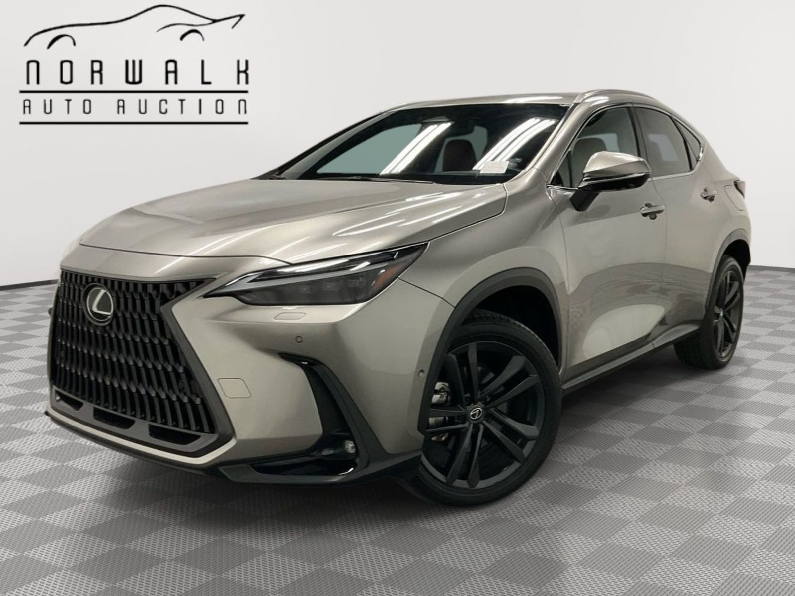 2023 Lexus NX  Luxury AWD